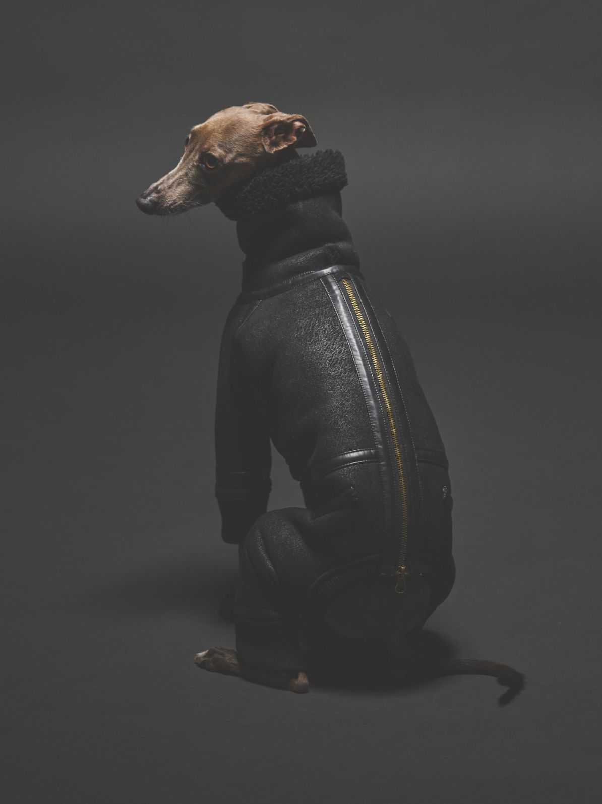 B3 FLIGHT SUIT / BLACK