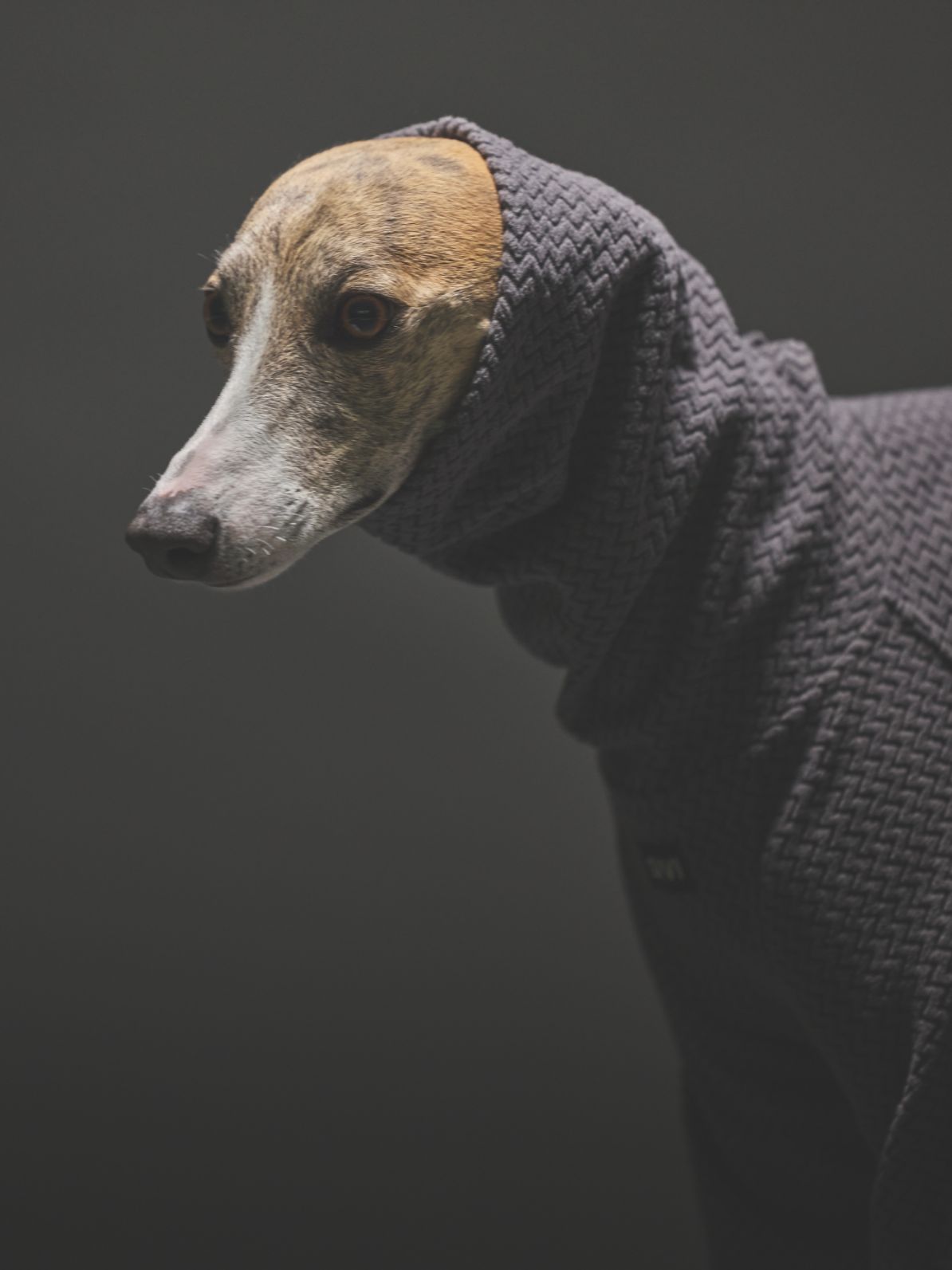 TECHNICAL FLEECE COVERALLS / CHARCOAL