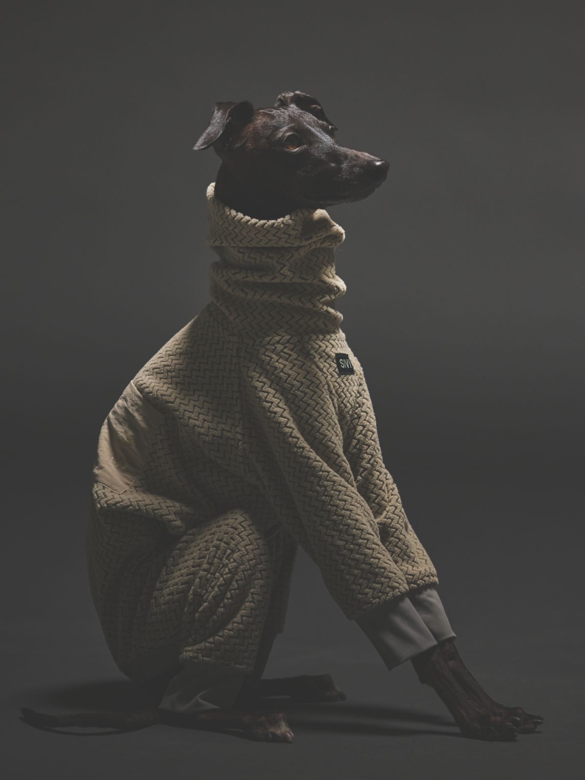 TECHNICAL FLEECE COVERALLS / GREIGE