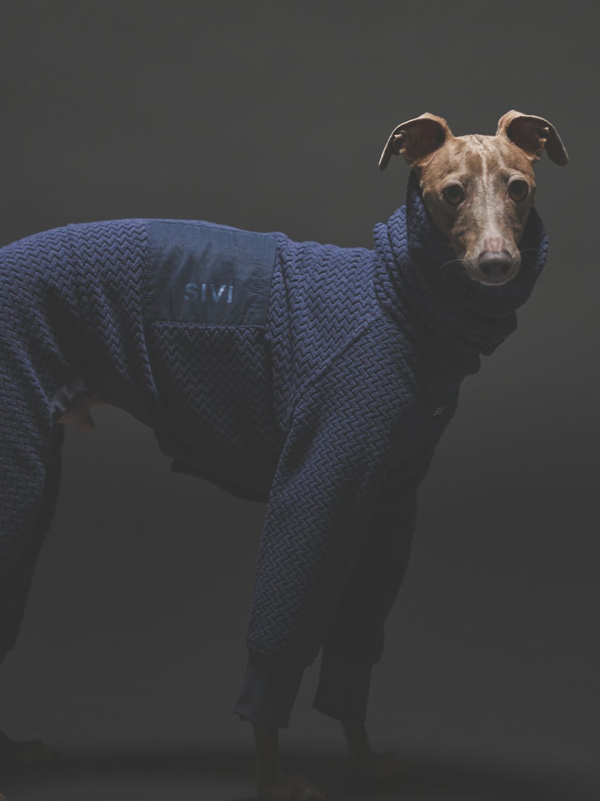 TECHNICAL FLEECE COVERALLS / NAVY