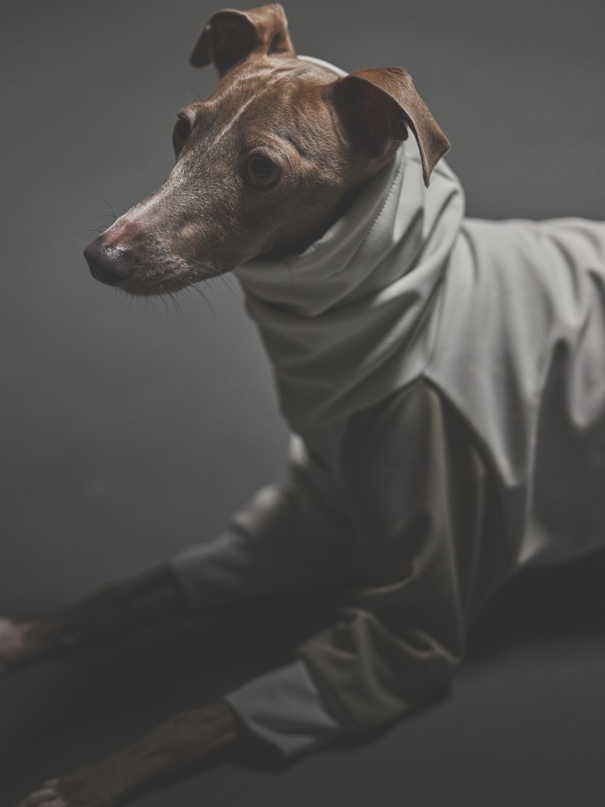 SOFTSHEL 3LAYER LONGSLEEVE HOODIE / CLOUDY