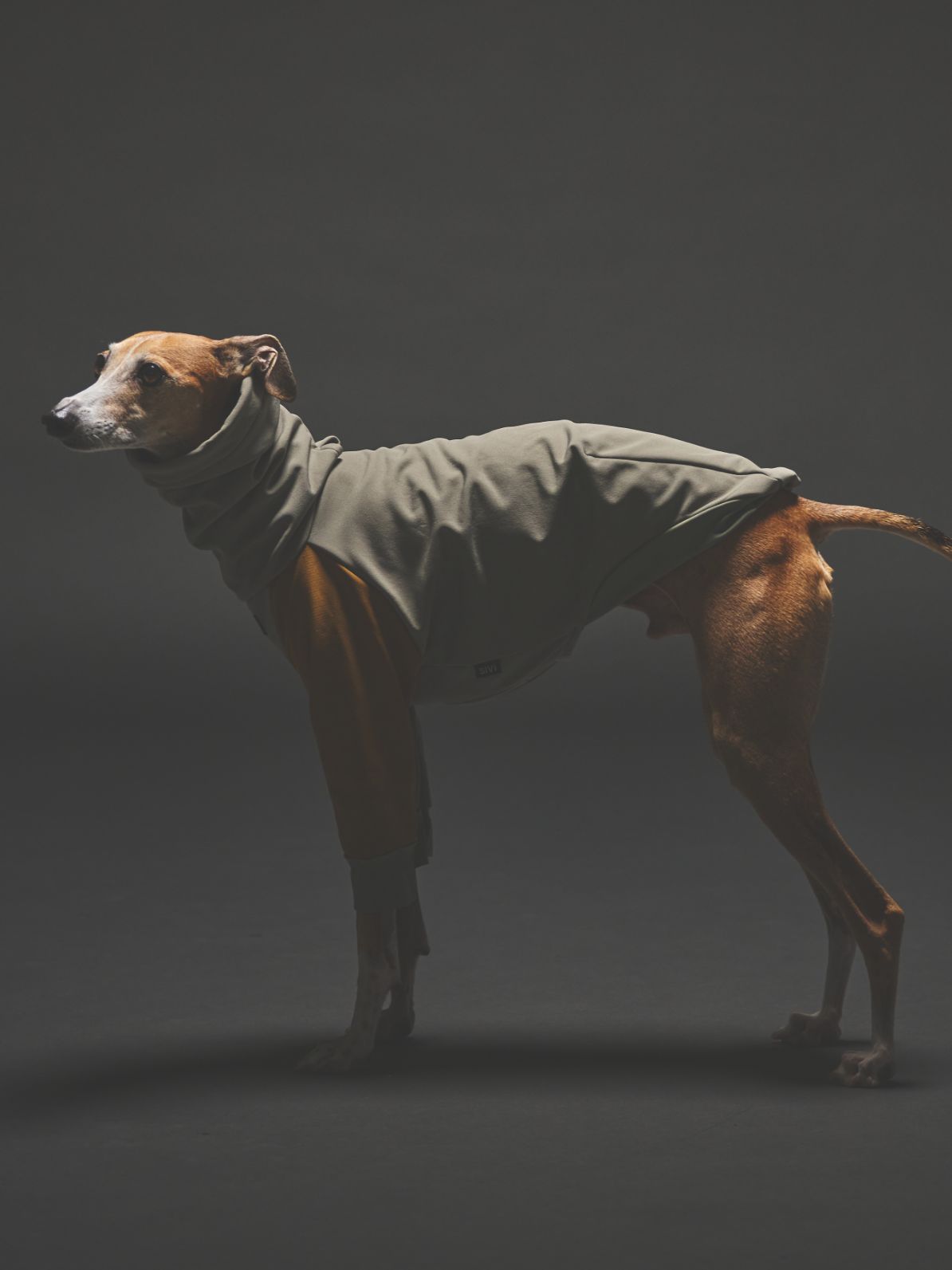 SOFTSHEL 3LAYER LONGSLEEVE HOODIE / MIDDLE GRAY