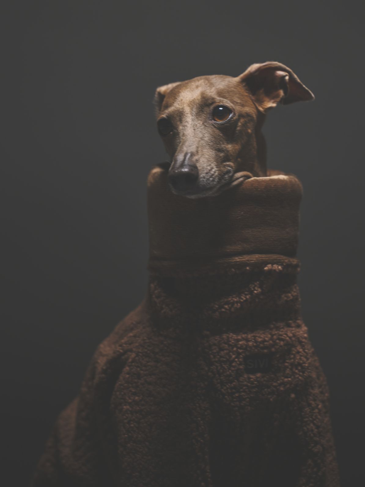 MOCOMOCO COVERALLS / BROWN