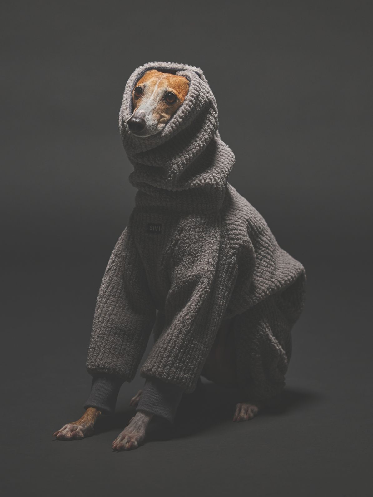 MOCOMOCO COVERALLS / GRAY