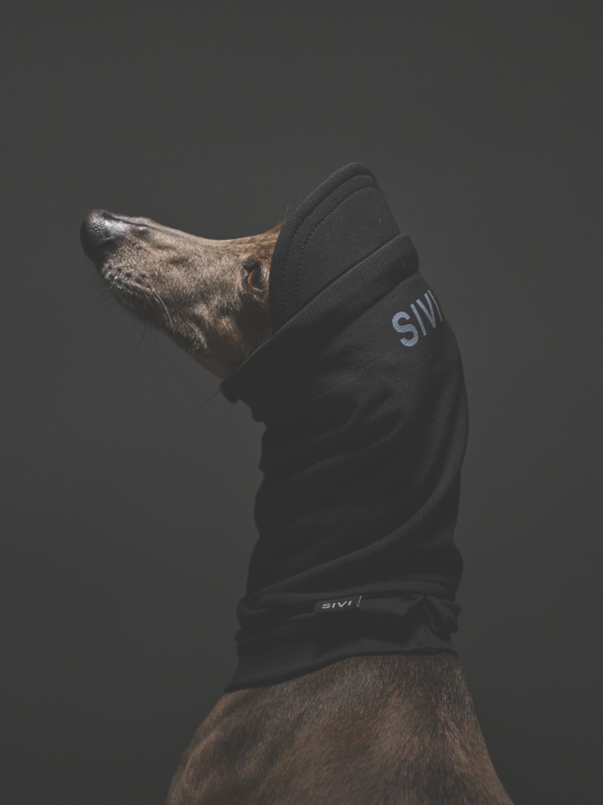 SOFTSHEL WARM SNOOD / BLACK