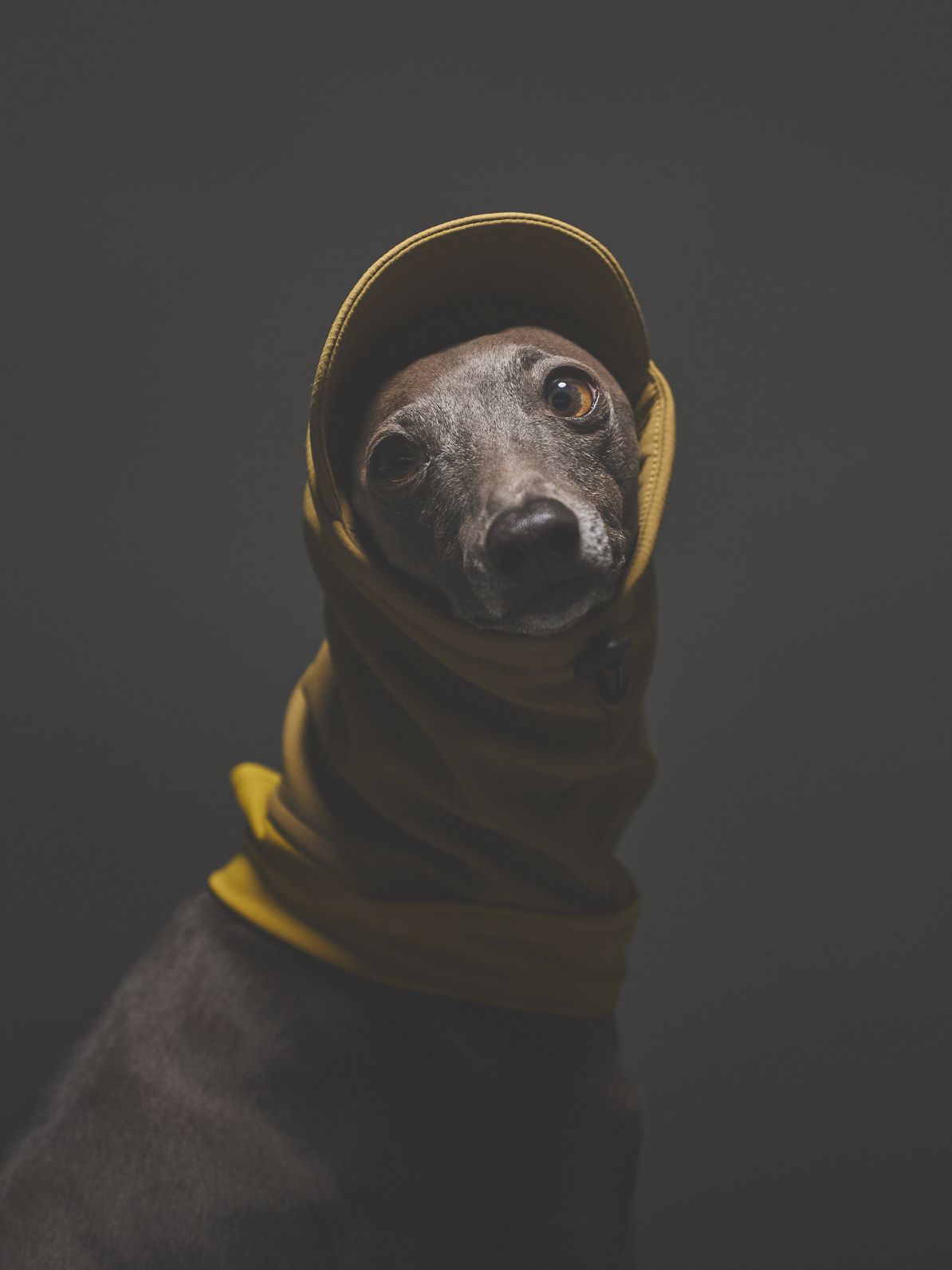 SOFTSHEL WARM SNOOD / KHAKI BEIGE