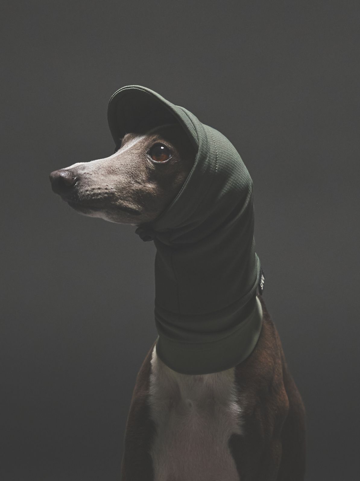 SOFTSHEL WARM SNOOD / MOSS GREEN