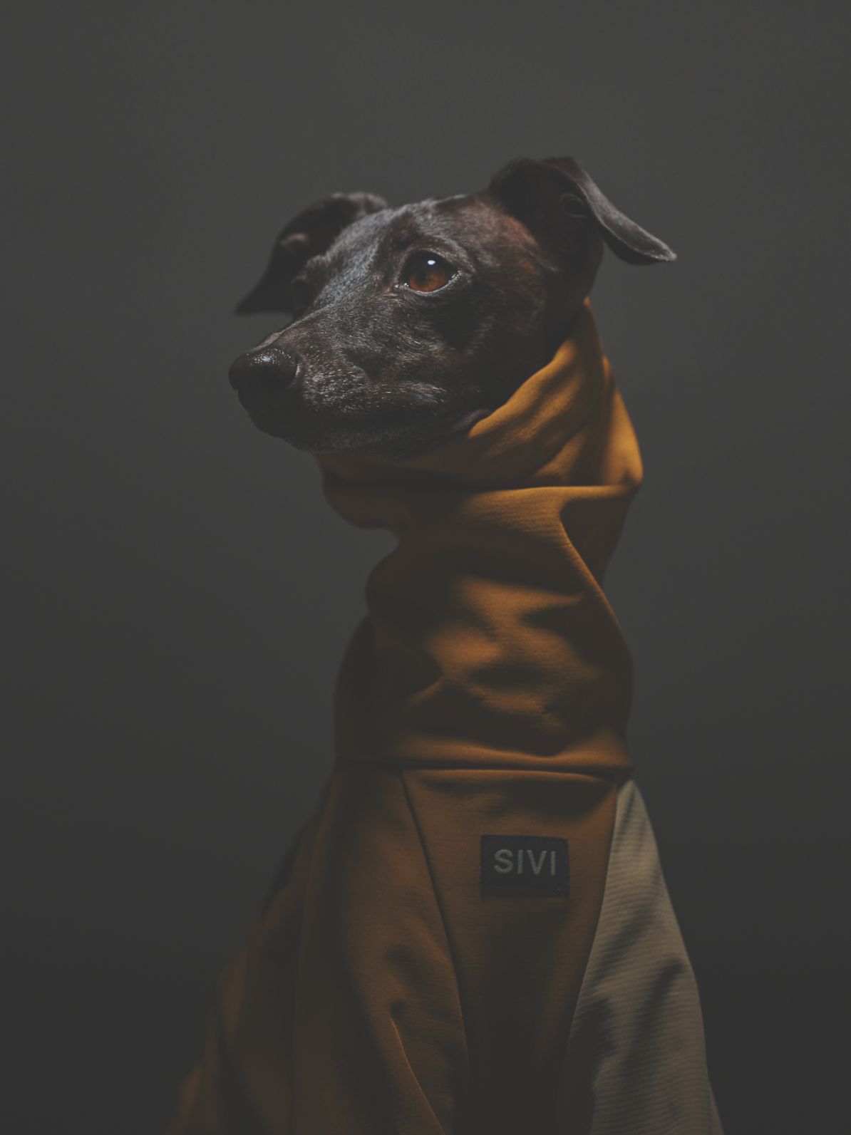 SOFTSHEL 3LAYER COVERALLS / BROWN