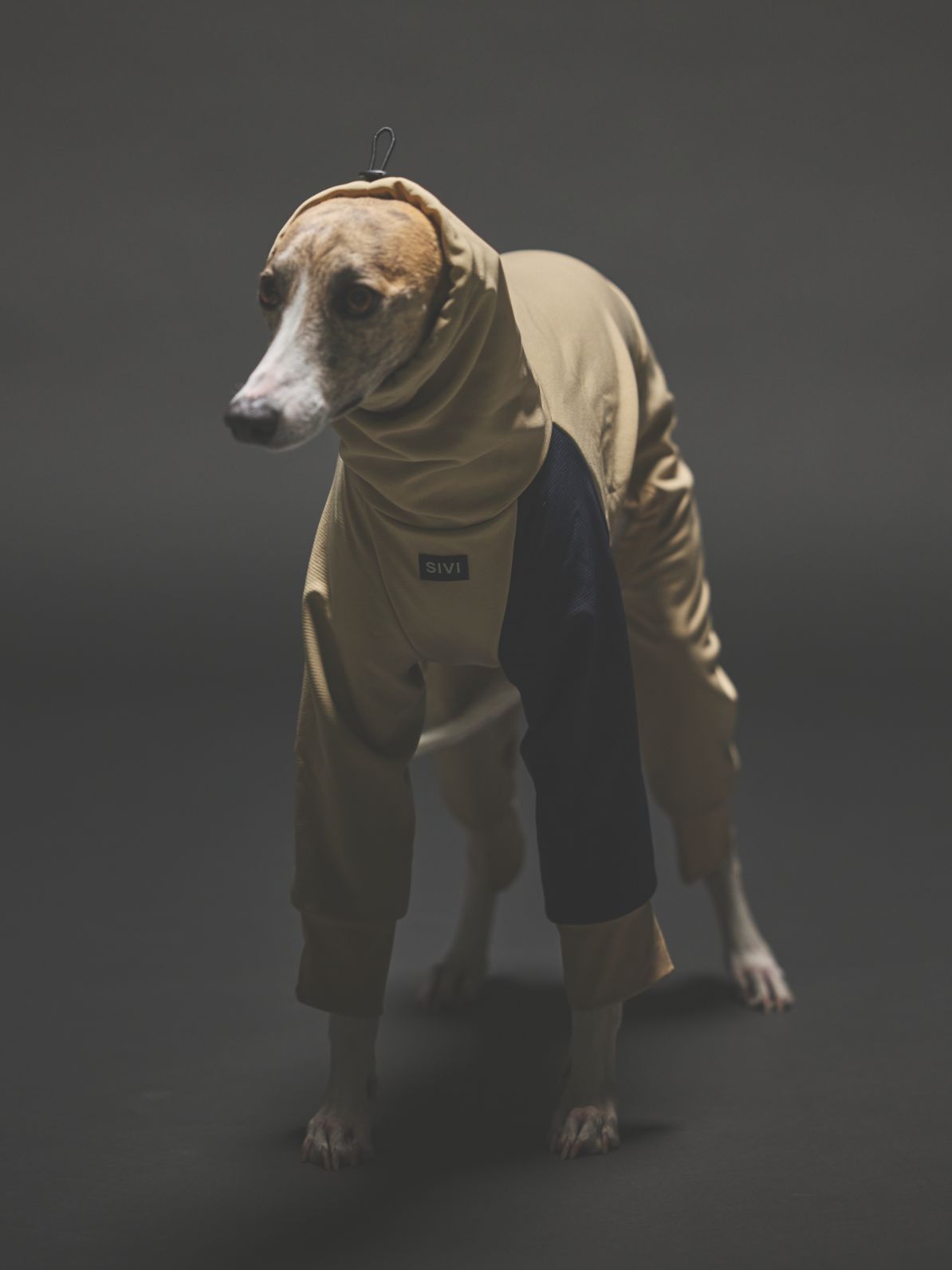 SOFTSHEL 3LAYER COVERALLS / GREIGE