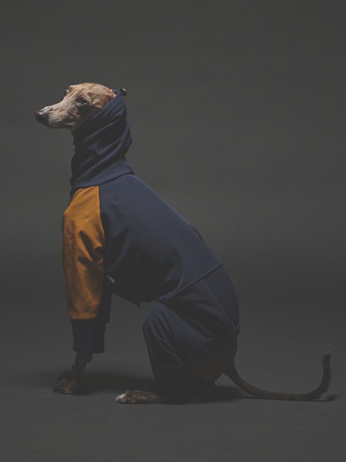 SOFTSHEL 3LAYER COVERALLS / NAVY