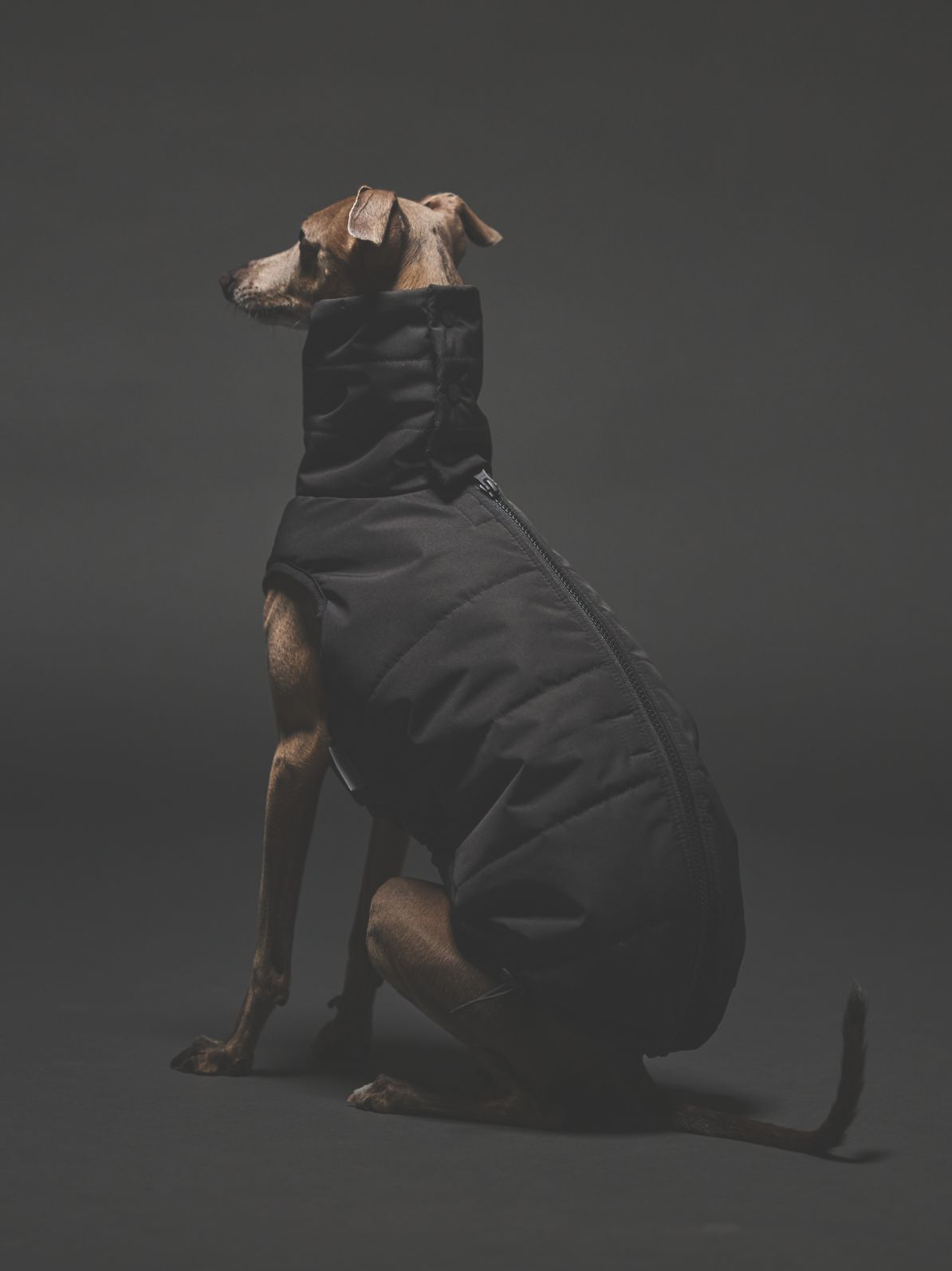 3M THINSULATE DOWN VEST / BLACK