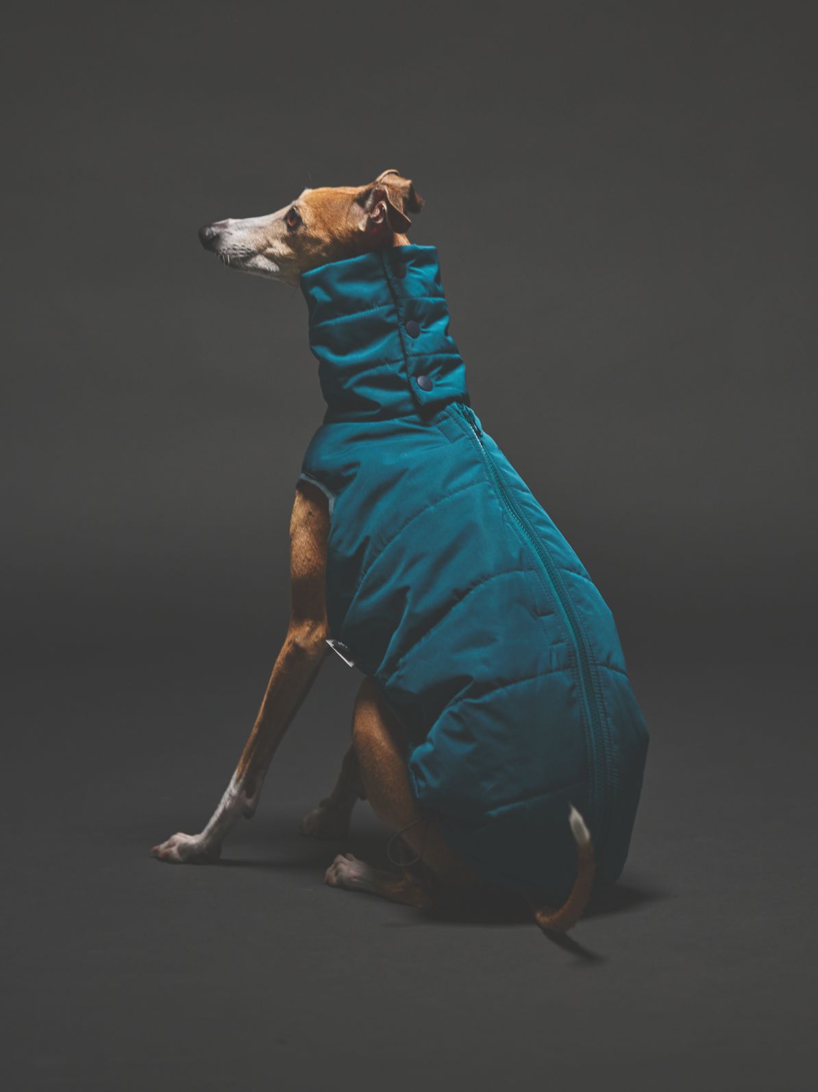 3M THINSULATE DOWN VEST / DARK TURQUOISE