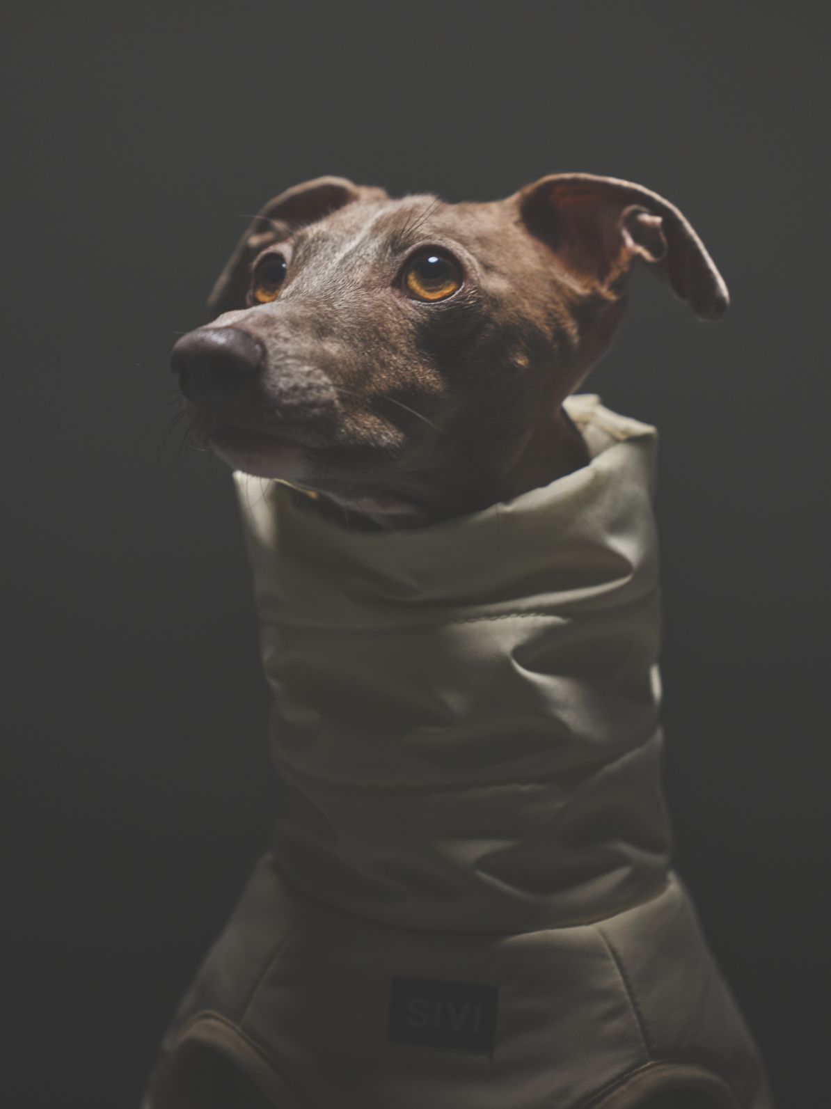 3M THINSULATE DOWN VEST / IVORY