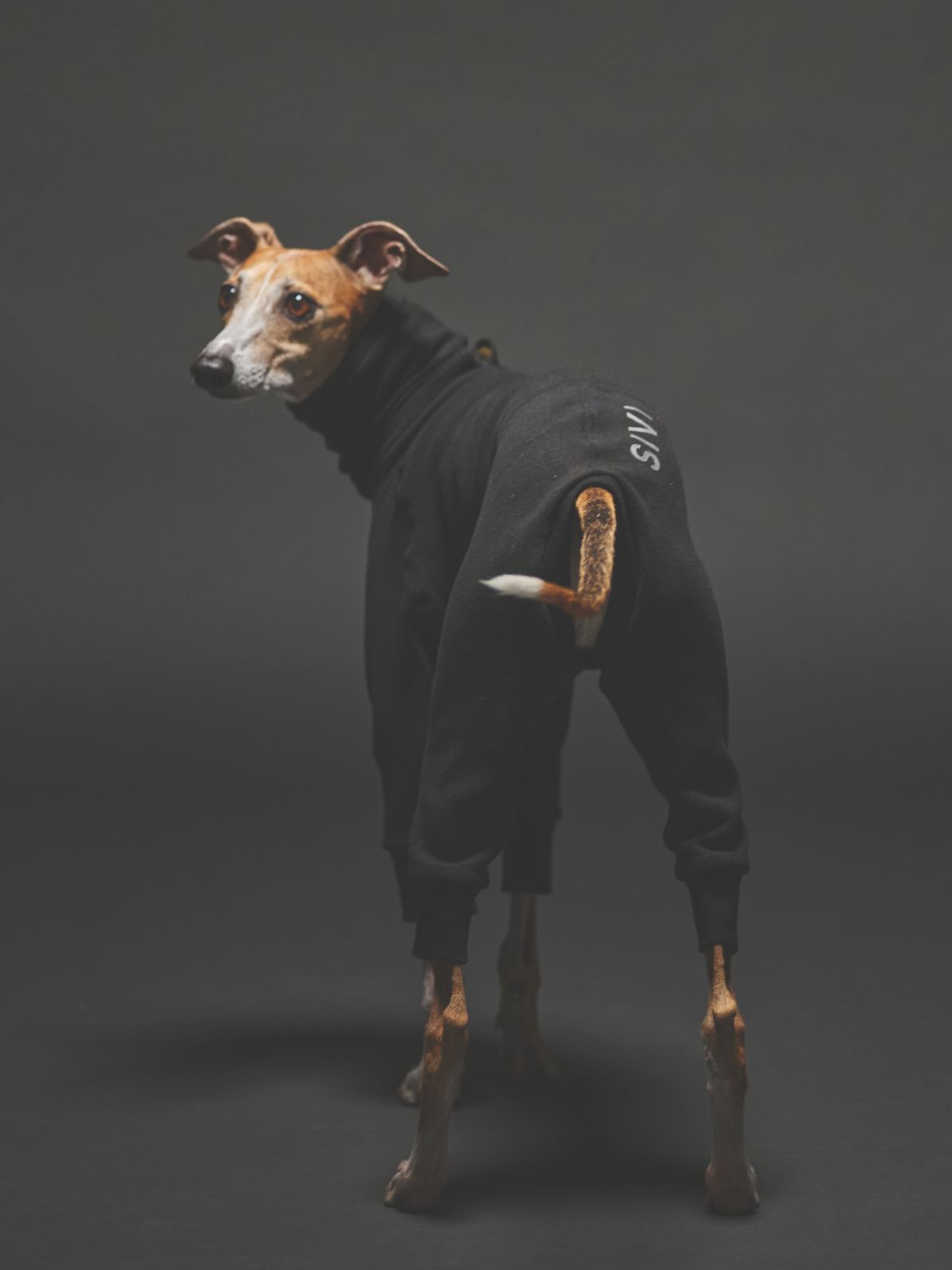 WARM COVERALLS / BLACK