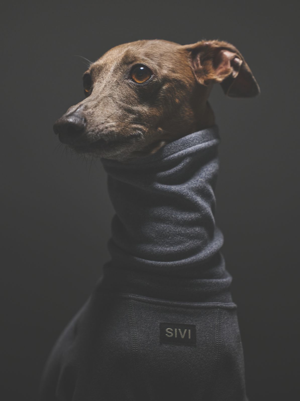 WARM COVERALLS / MIDNIGHT