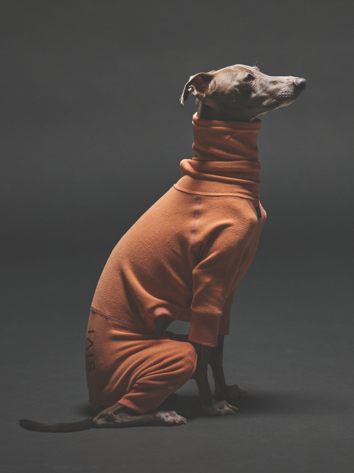 WARM COVERALLS / SAHARA