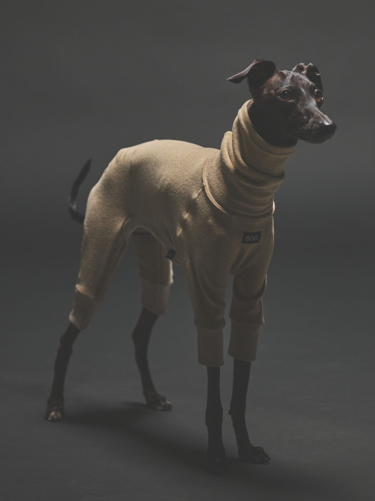 WARM COVERALLS / SAND