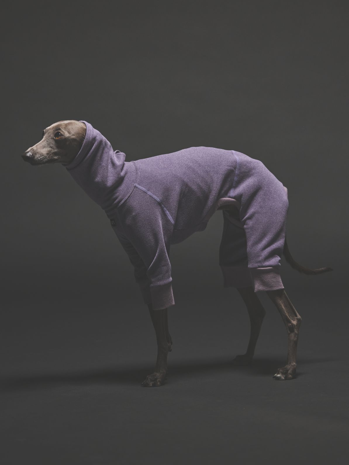 WARM COVERALLS / STRAIGHT PURPLE