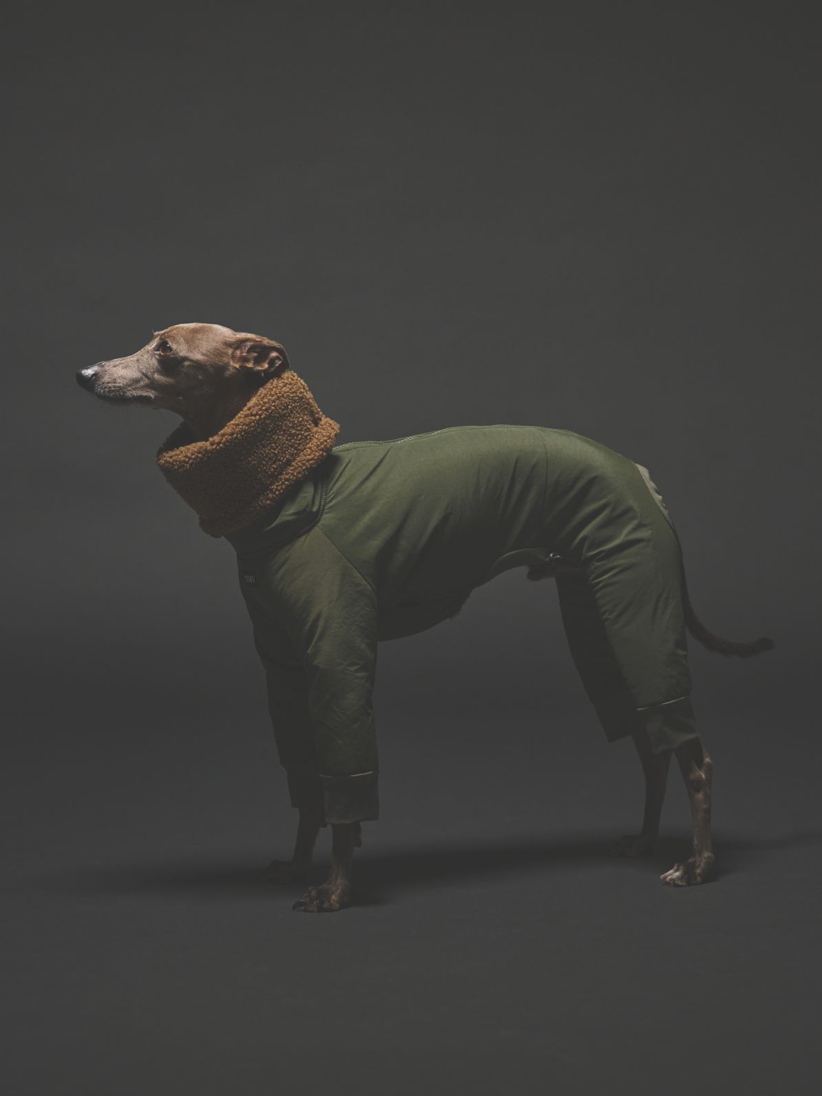 WINTER SUIT / ARMY GREEN