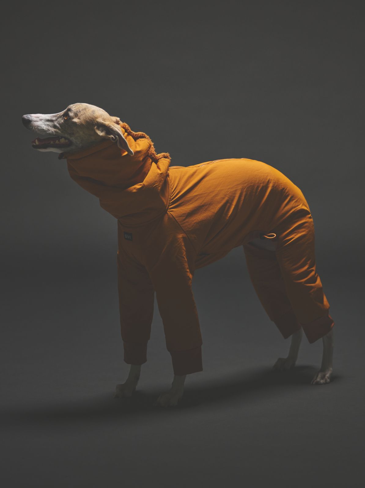 WINTER SUIT / CINNAMON