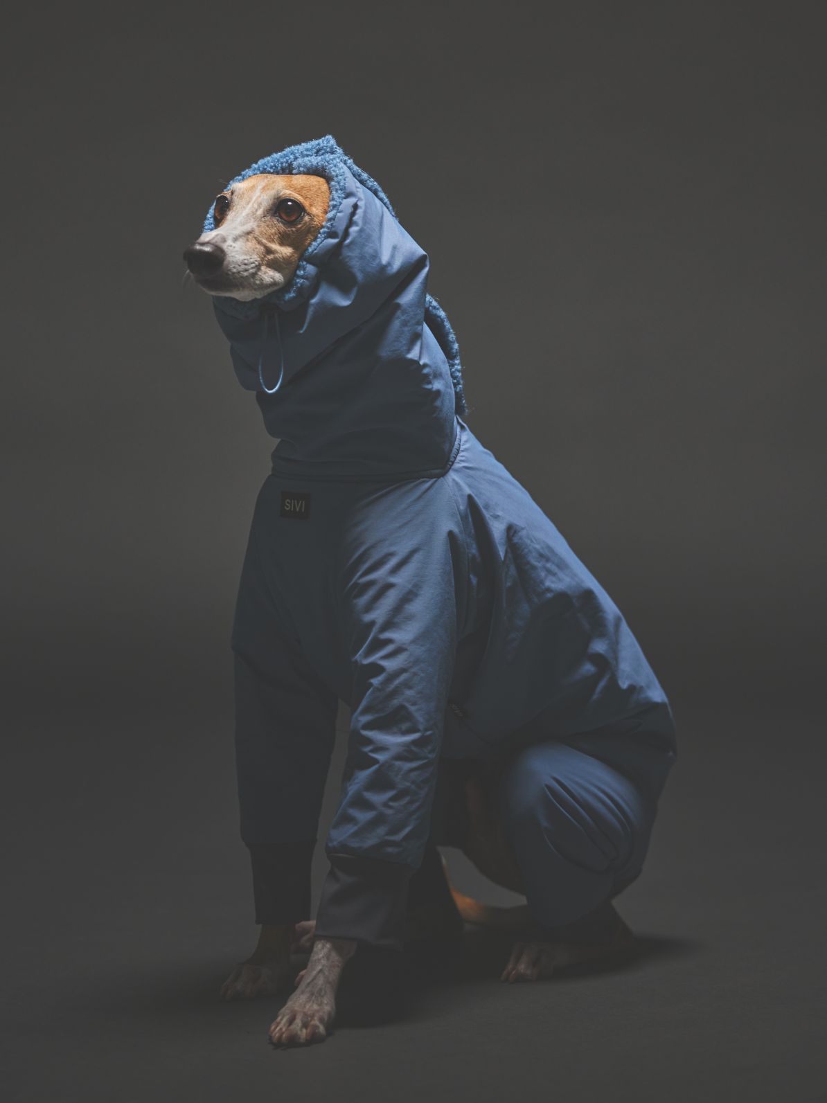 WINTER SUIT / SHADOW BLUE