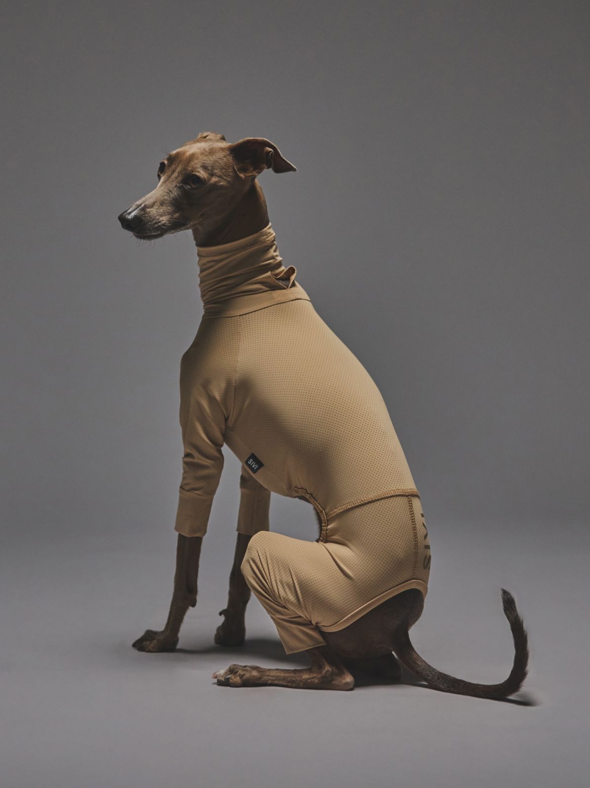 COOLING & INSECT-REPELLENT MESH SUIT