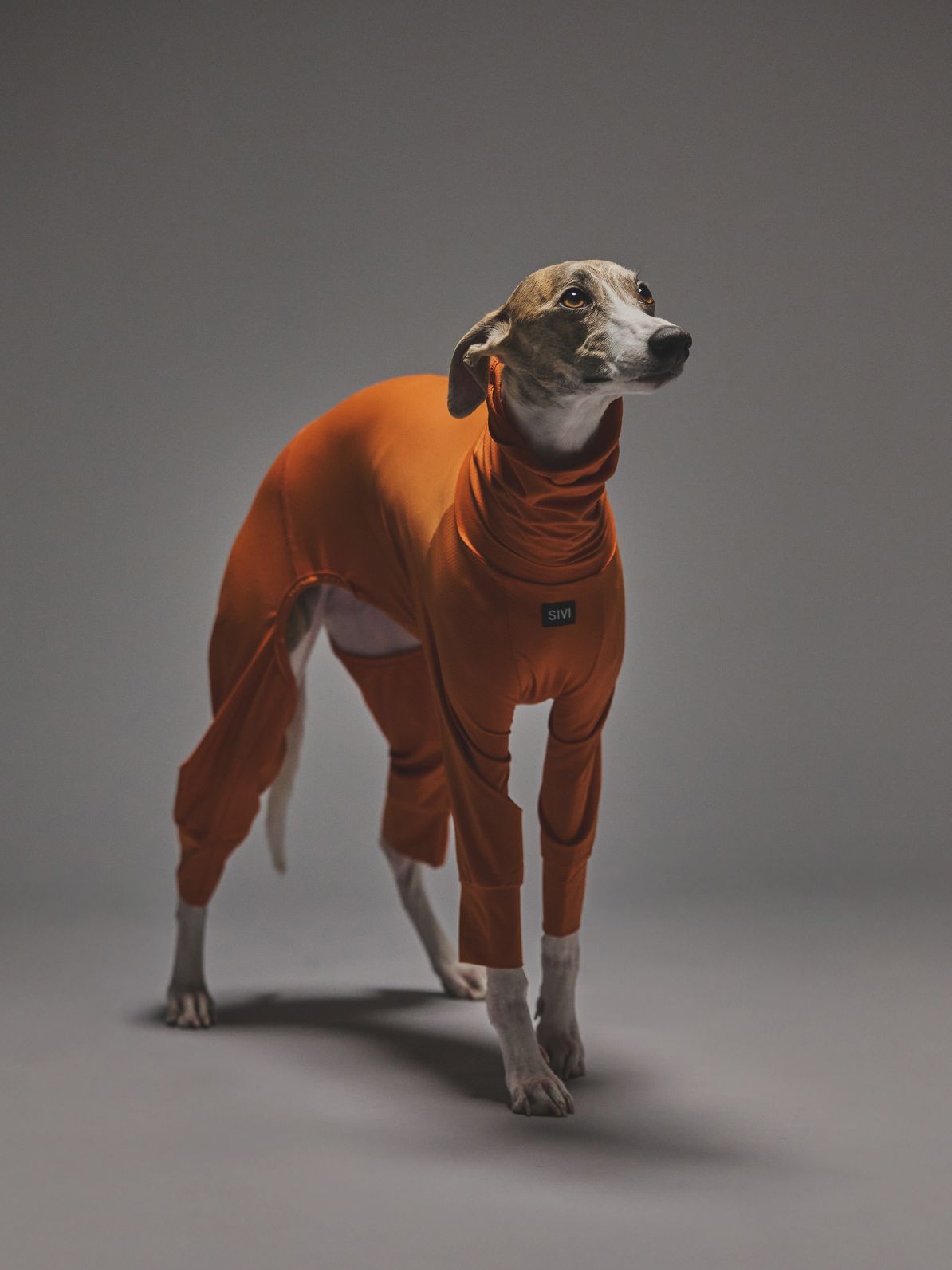 COOLING & INSECT-REPELLENT MESH SUIT