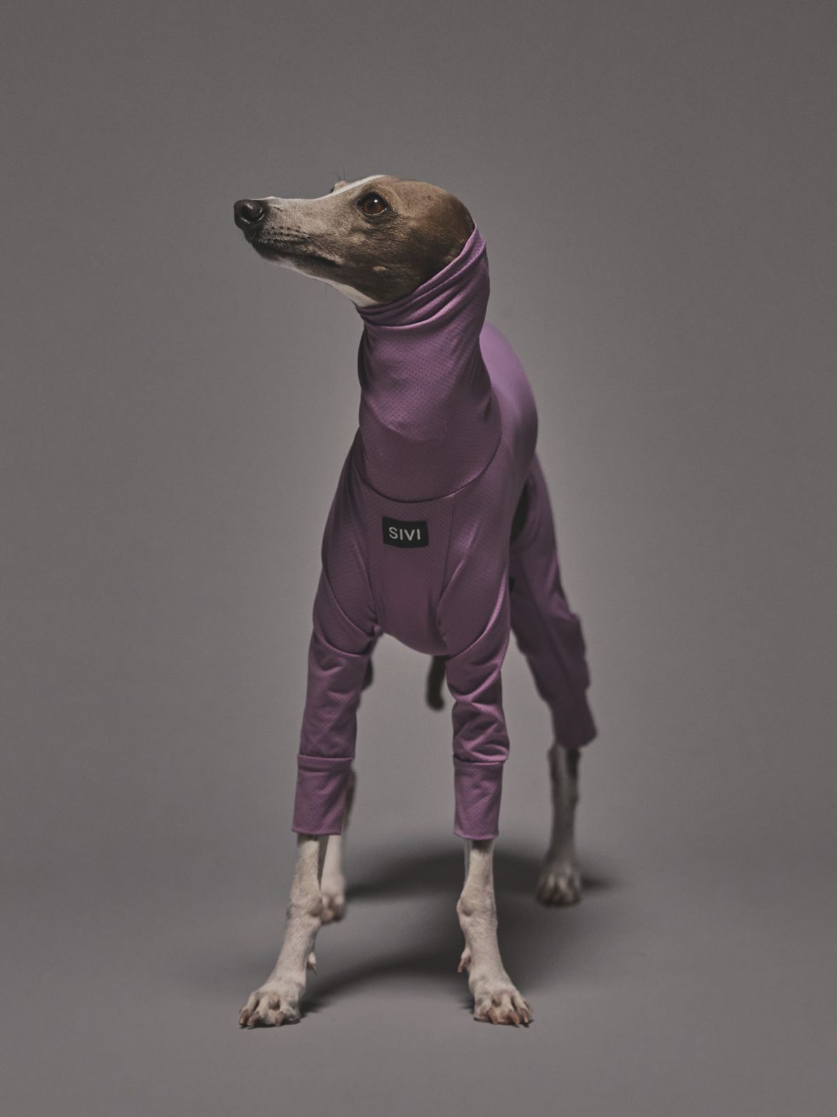 COOLING & INSECT-REPELLENT MESH SUIT