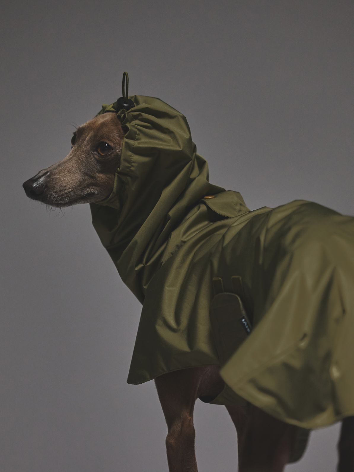 EASY GUARD RAIN PONCHO