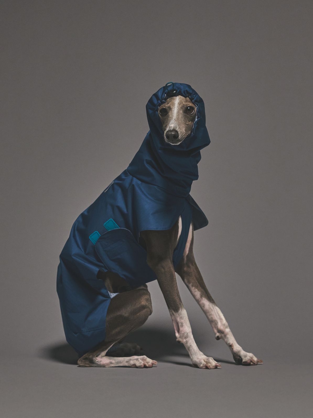 EASY GUARD RAIN PONCHO