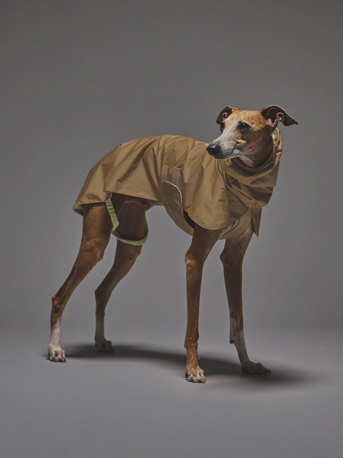 EASY GUARD RAIN PONCHO