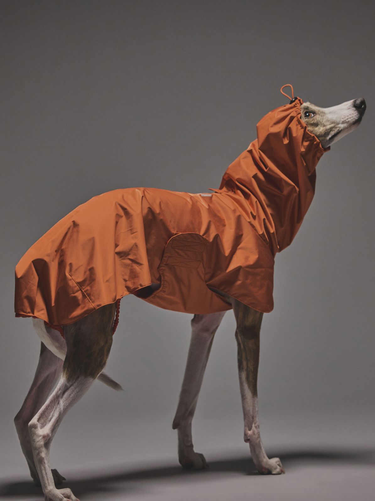 EASY GUARD RAIN PONCHO