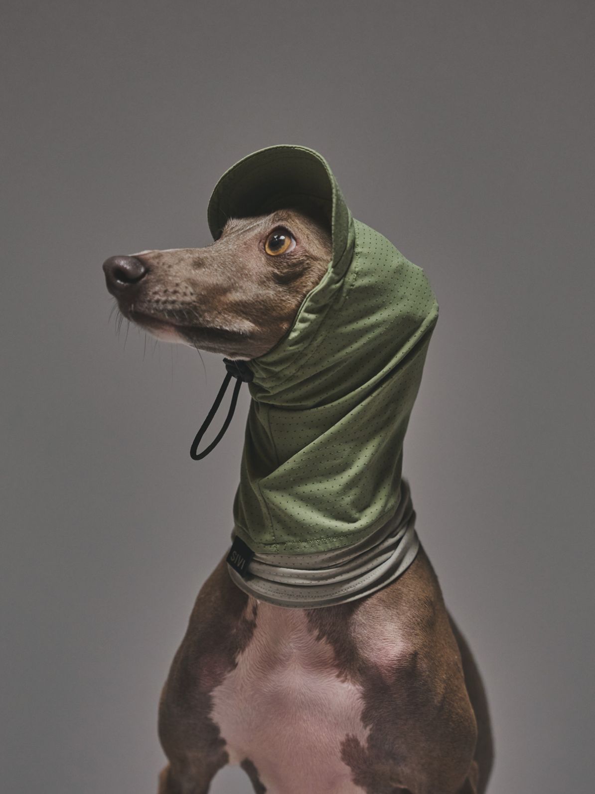 SUNSHADE MESH SNOOD