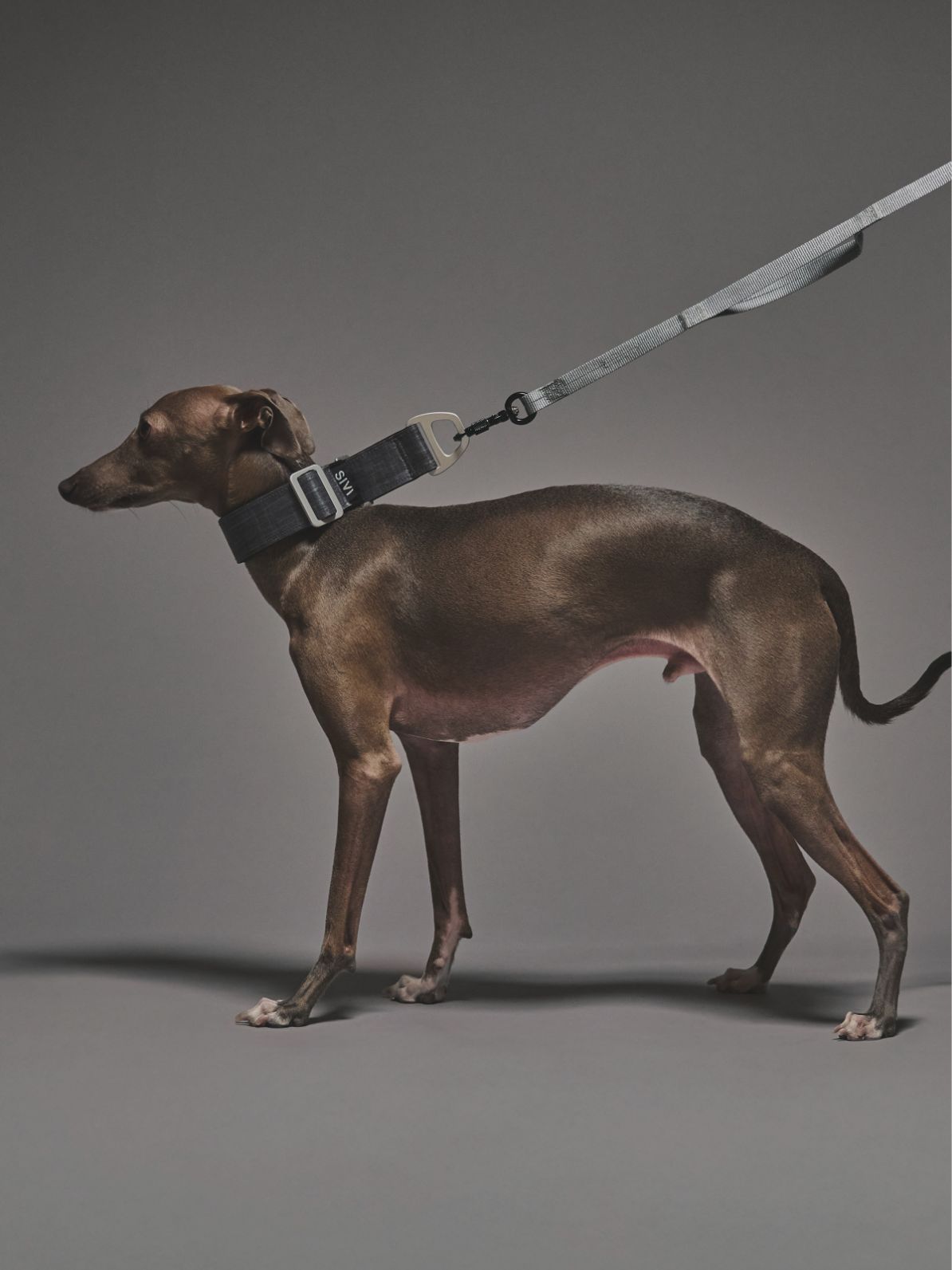 X-PAC MARTINGALE COLLAR