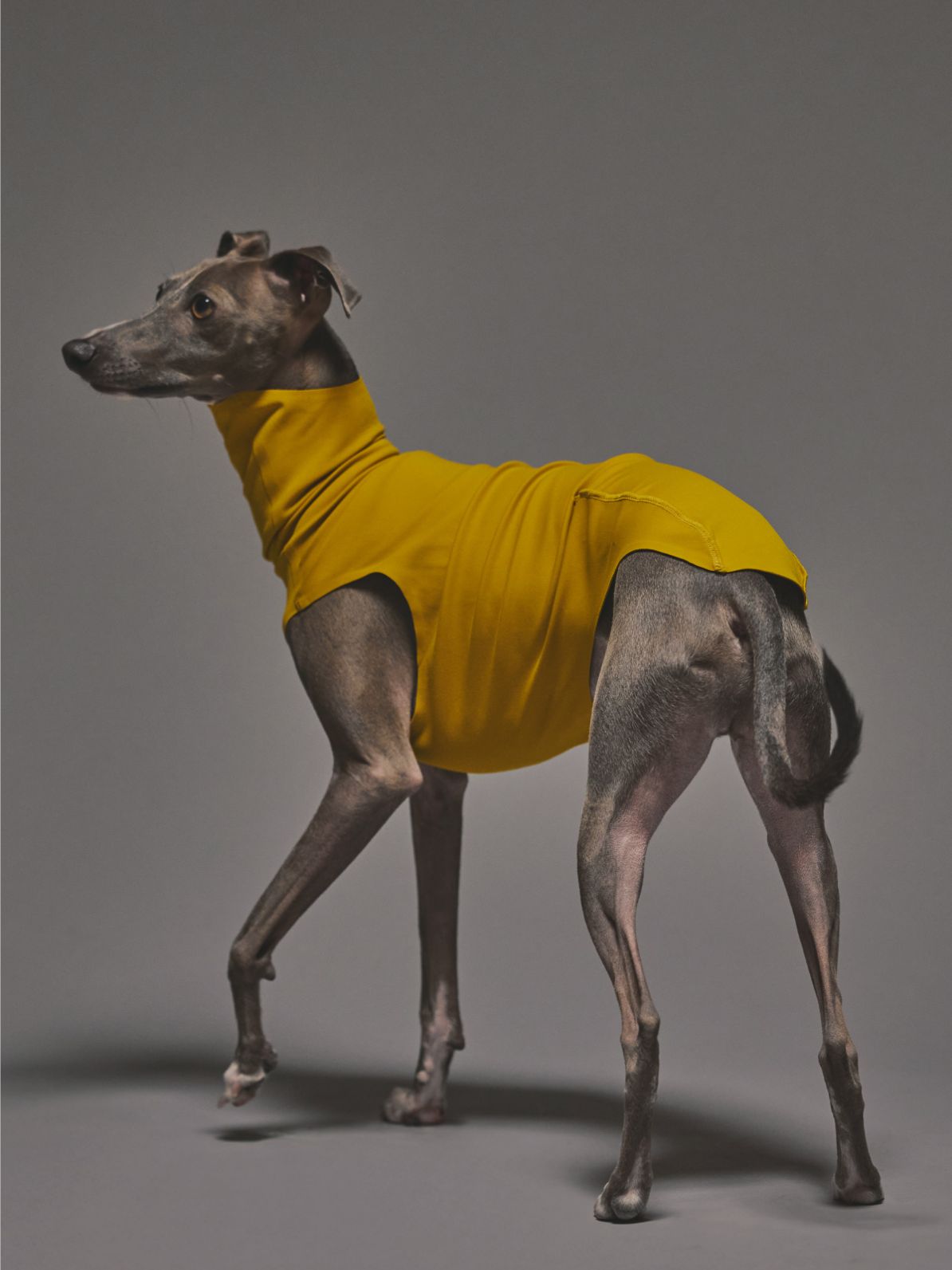 ZEROSEAM SEAMLESS TANK