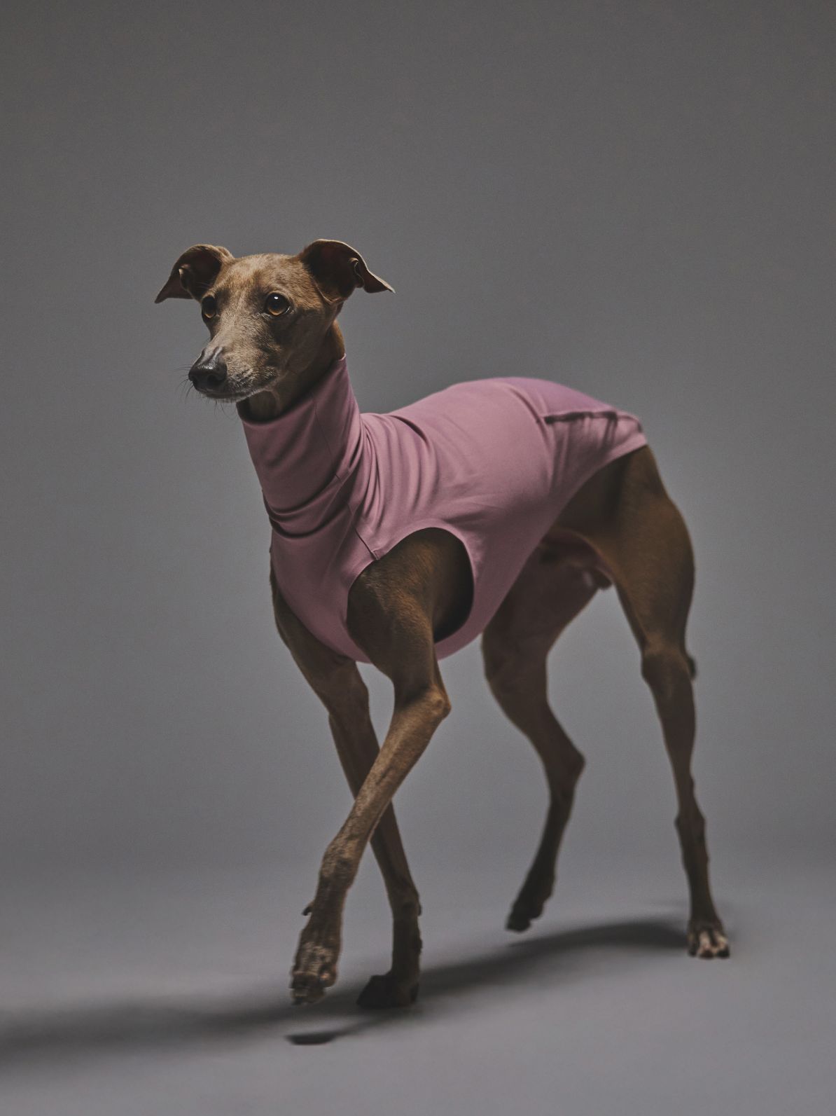 ZEROSEAM SEAMLESS TANK × UNAGE