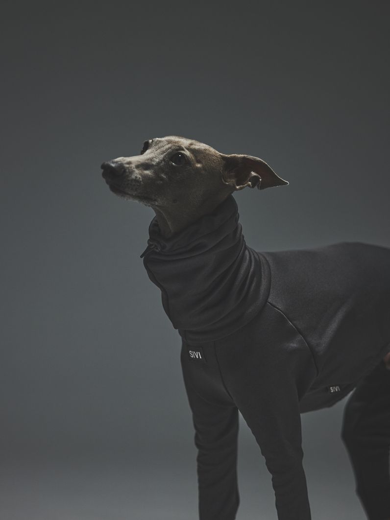 GRAPHTEC SUITS / BLACK