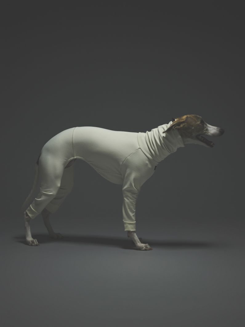 GRAPHTEC SUITS / IVORY