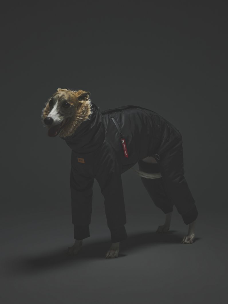 N-3B FLIGHT SUIT / BLACK