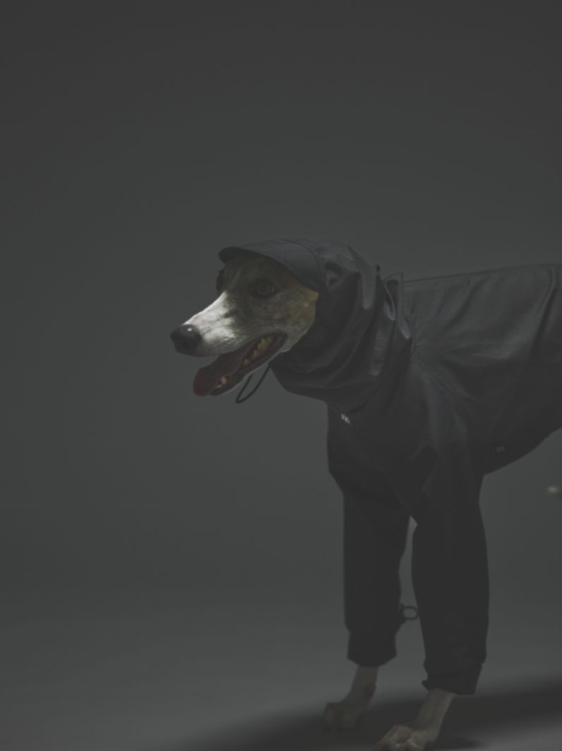 SHEL SUIT / BLACK
