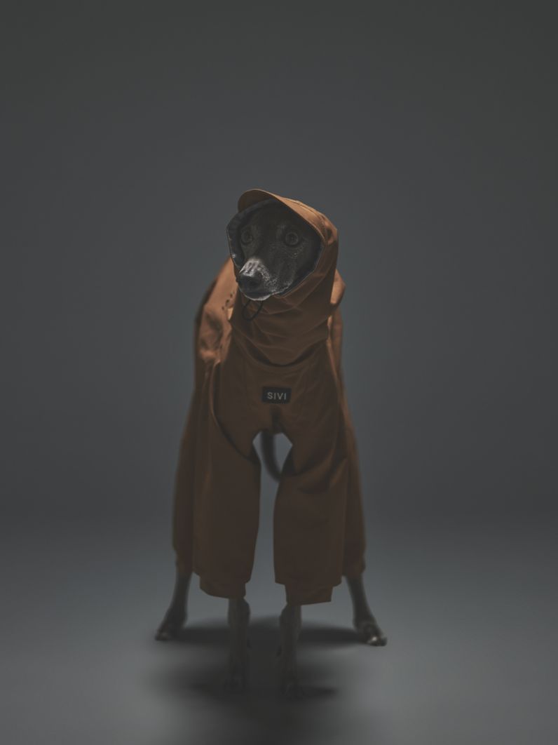 SHEL SUIT / BROWN
