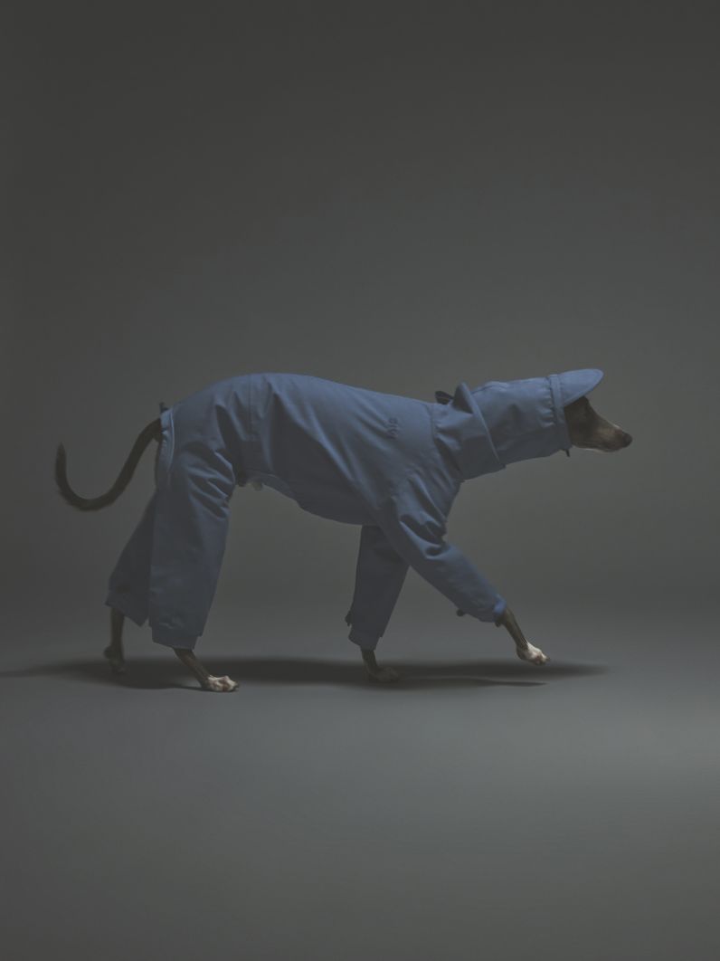 SHEL SUIT / SMOKE BLUE