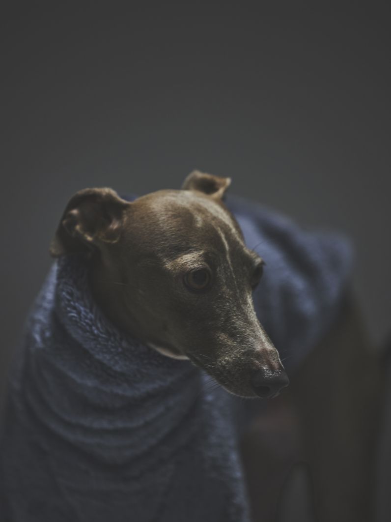 SHORT FUR HIGH NECK / SHADOW BLUE