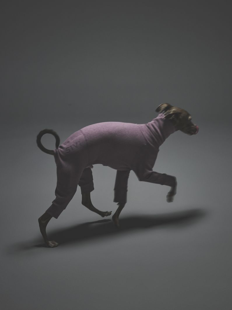 WARM COVERALLS / MAUVE