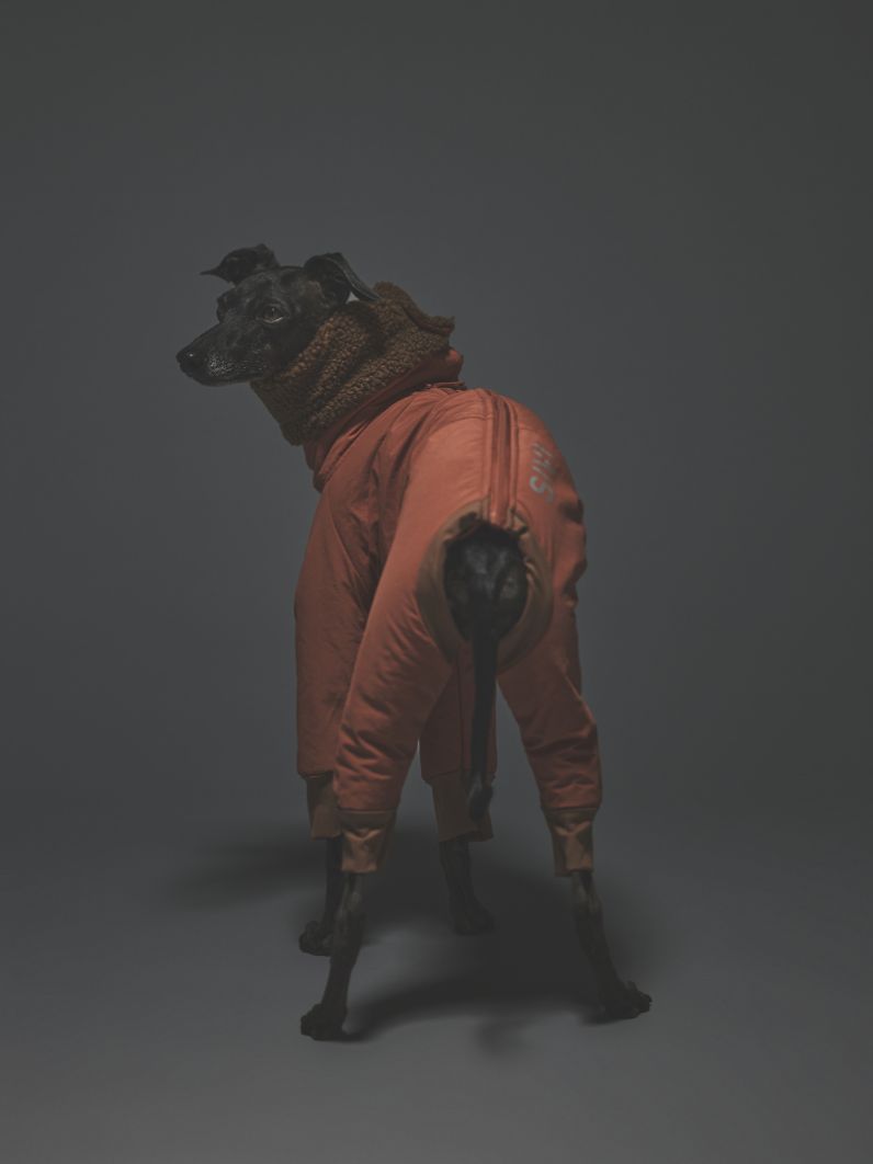 WINTER SUIT / APRICOT