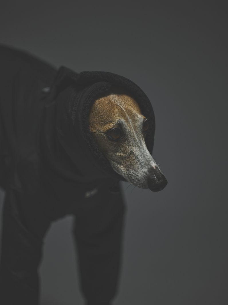 WINTER SUIT / BLACK