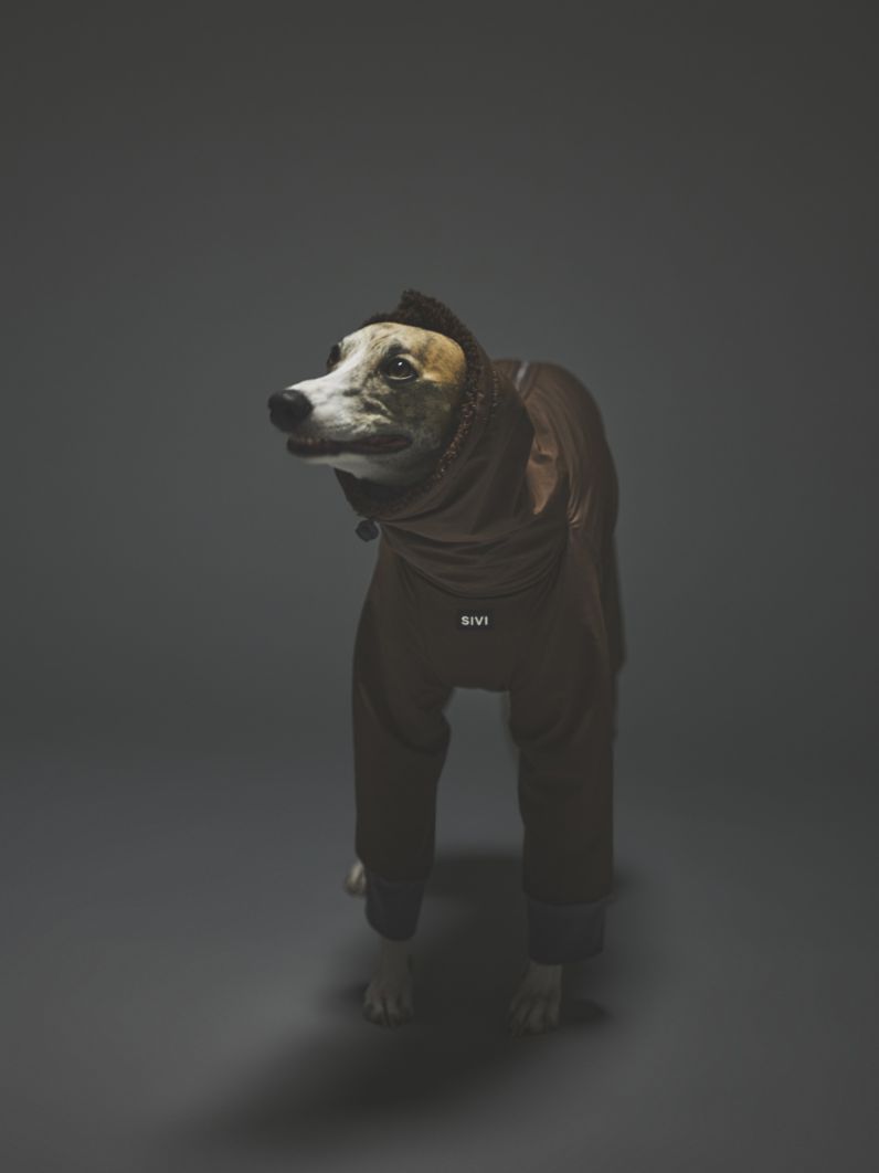 WINTER SUIT / MALT BROWN