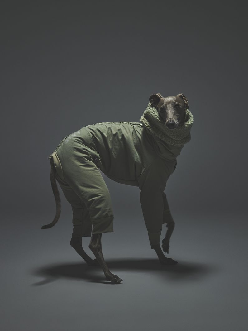 WINTER SUIT / SAGE