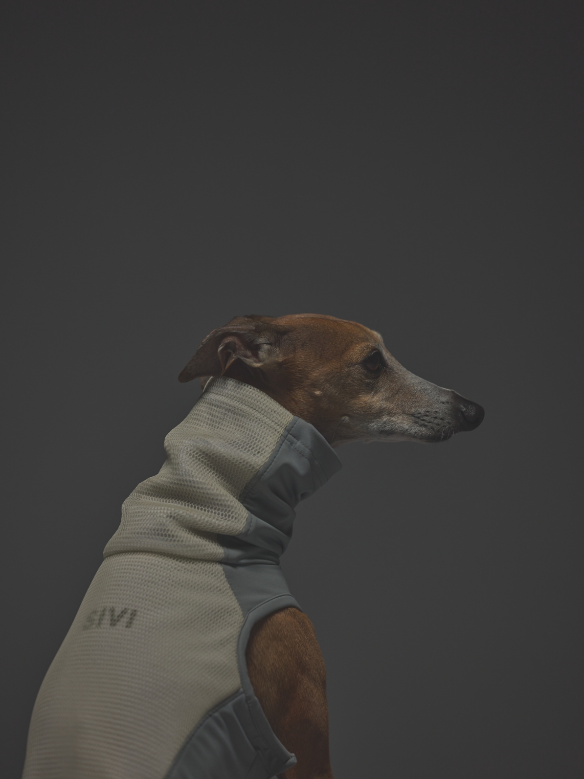 AQUA HOLD SINGLET / GRAY WHITE