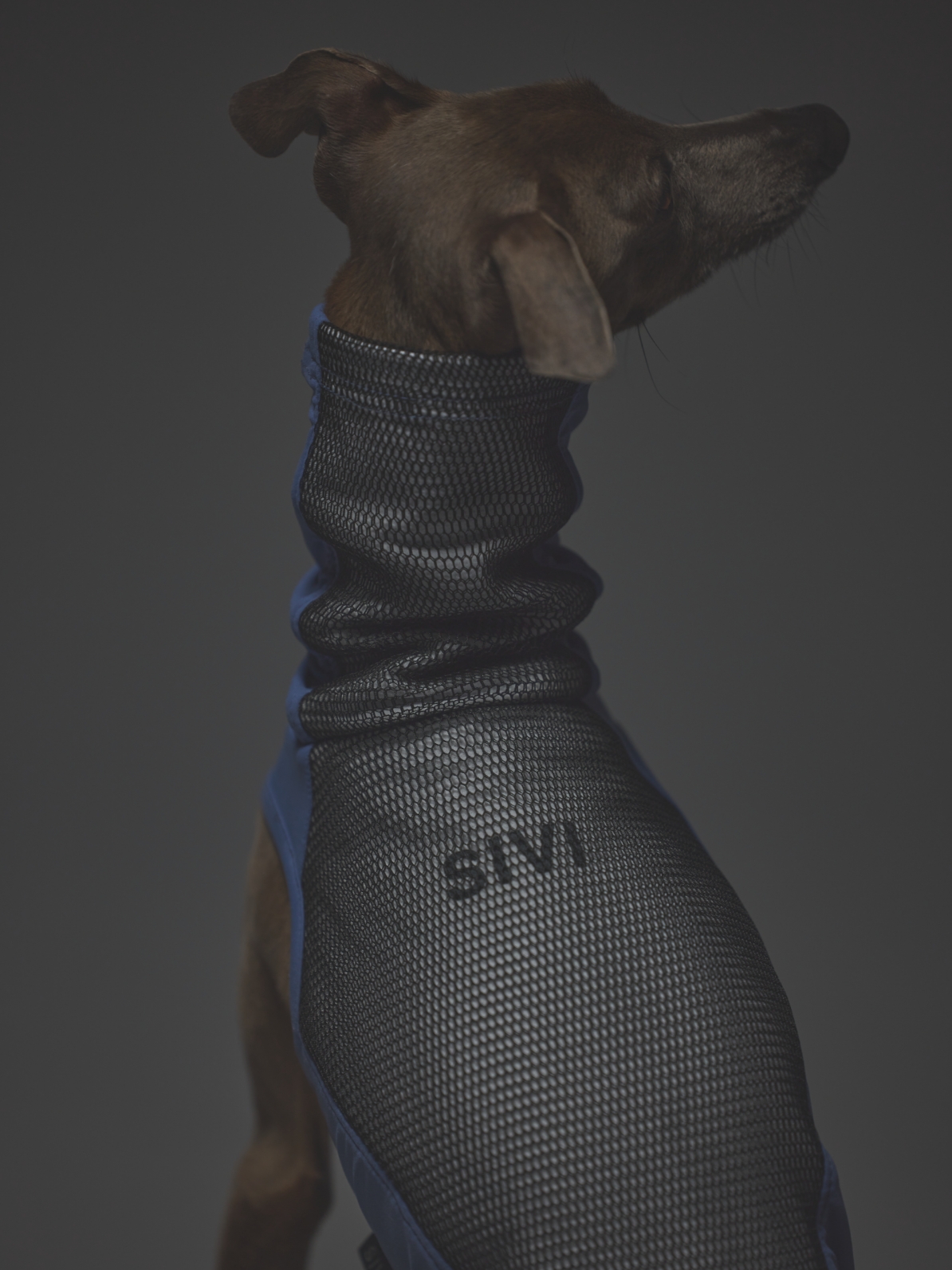 AQUA HOLD SINGLET / SLATE BLUE BLACK